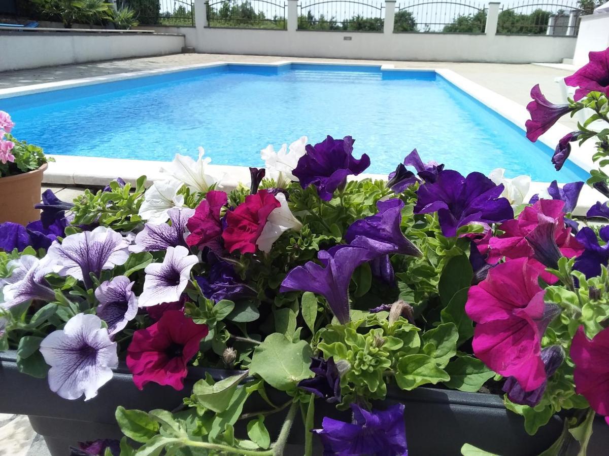 House Apartments Ariamare Porec Luaran gambar