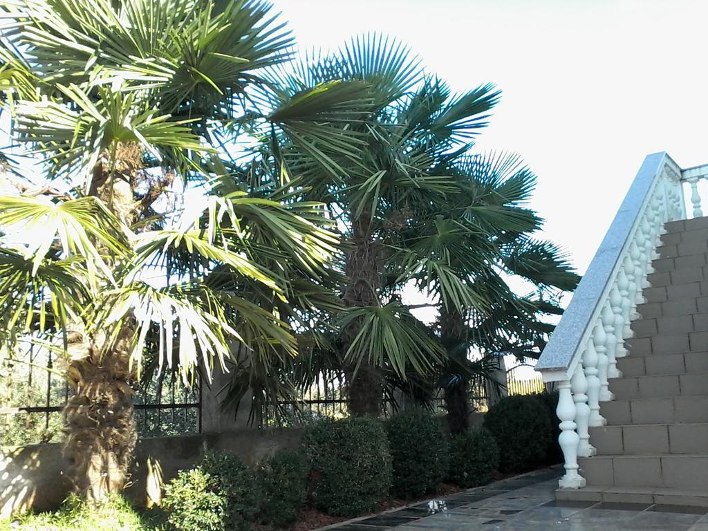 House Apartments Ariamare Porec Luaran gambar
